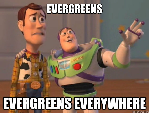 evergreens evergreens everywhere - Buzz Lightyear