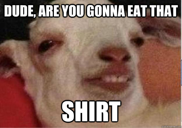 dude are you gonna eat that shirt - 10 goat