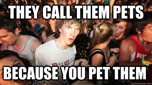 they call them pets because you pet them - Sudden Clarity Clarence