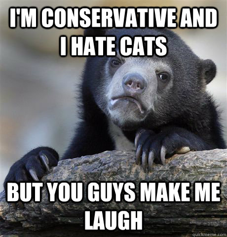 im conservative and i hate cats but you guys make me laugh - Confession Bear