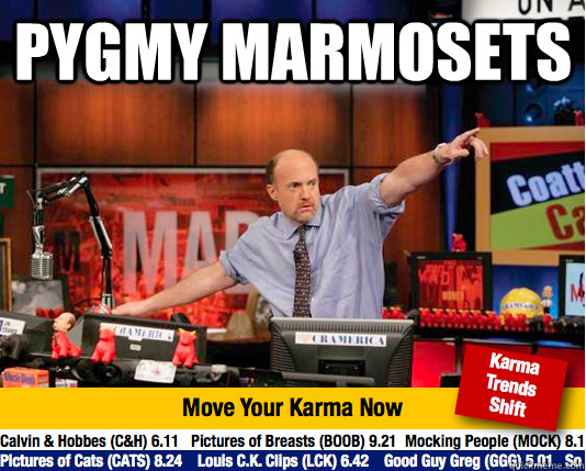 pygmy marmosets  - Mad Karma with Jim Cramer