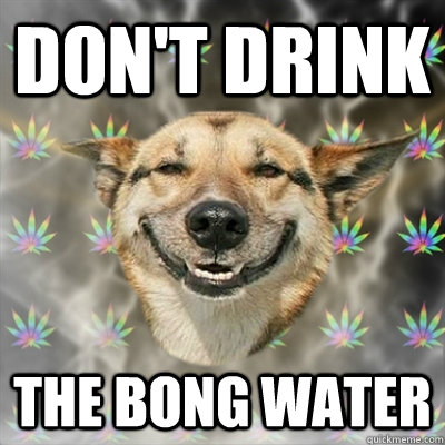 dont drink the bong water - Stoner Dog