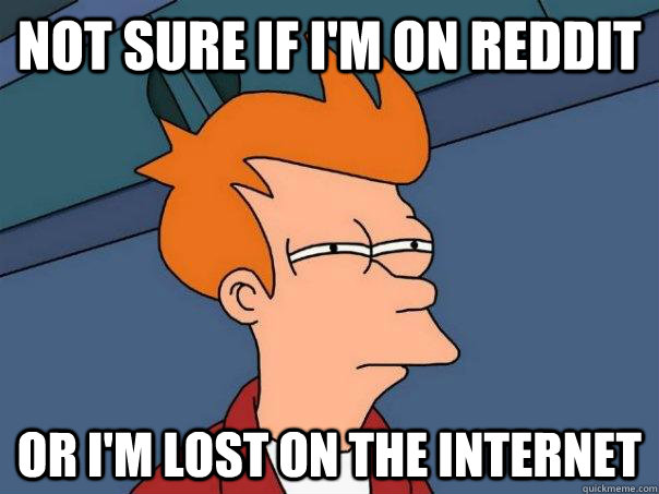 not sure if im on reddit or im lost on the internet - Futurama Fry