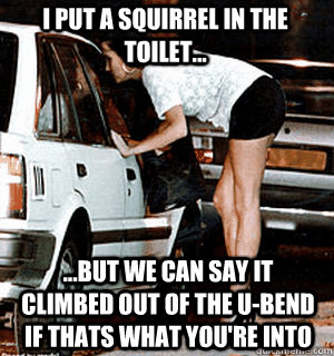 i put a squirrel in the toilet but we can say it climb - Karma Whore