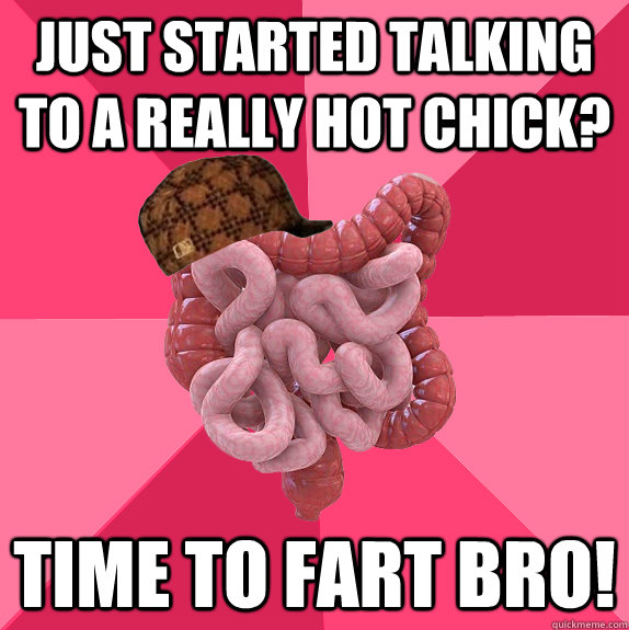 just started talking to a really hot chick time to fart bro - Scumbag Intestines