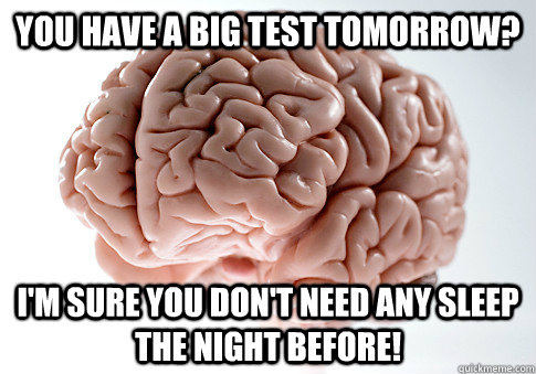 you have a big test tomorrow im sure you dont need any sl - Scumbag Brain