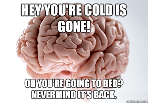 Hey youre cold is gone Oh youre going to bed Nevermind its b - Scumbag Brain