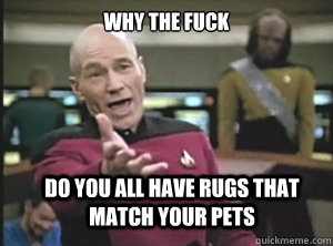 why the fuck do you all have rugs that match your pets - Annoyed Picard