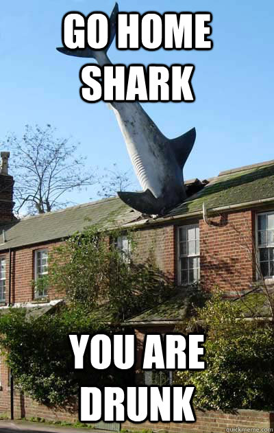 go home shark you are drunk -