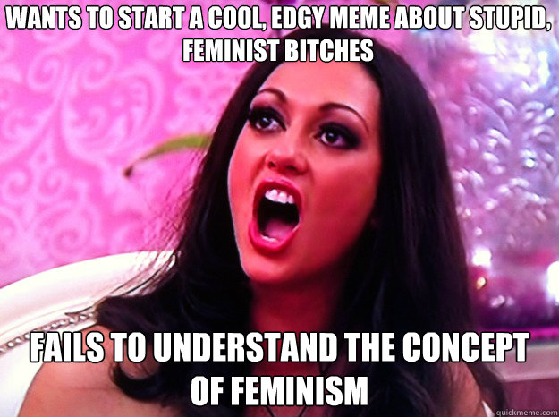Stupid Feminist