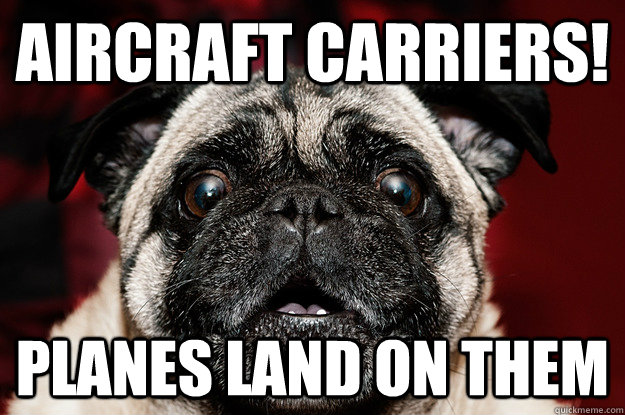aircraft carriers planes land on them - aircraft pug