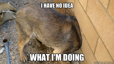i have no idea what im doing -