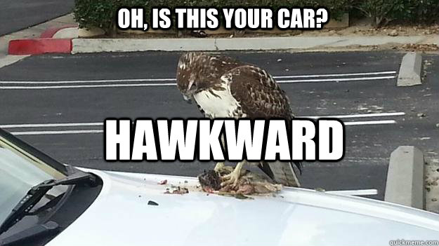 oh is this your car hawkward -