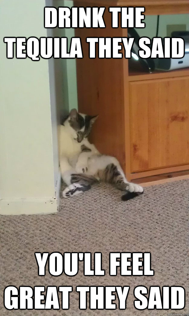 drink the tequila they said youll feel great they said -