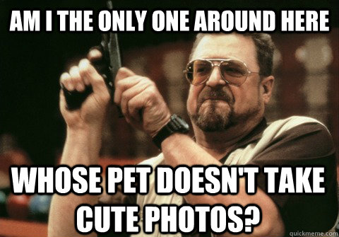 am i the only one around here whose pet doesnt take cute ph - Am I the only one