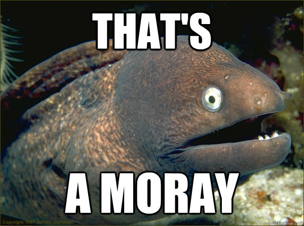 thats a moray - Bad Joke Eel