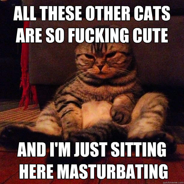 all these other cats are so fucking cute and im just sittin - Masturbating Cat