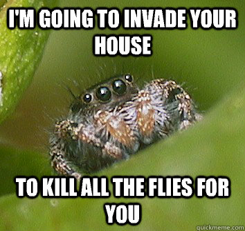 im going to invade your house to kill all the flies for you - Misunderstood Spider