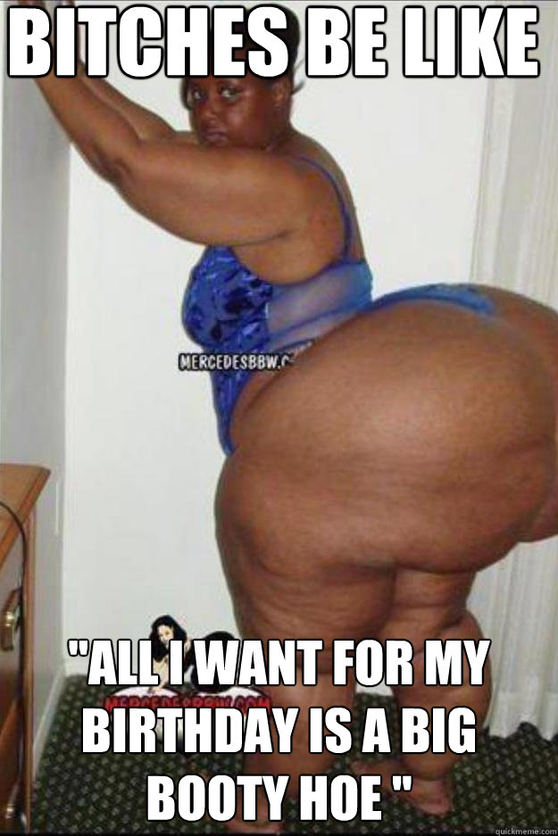I like big booty bitches I like big booty bitches