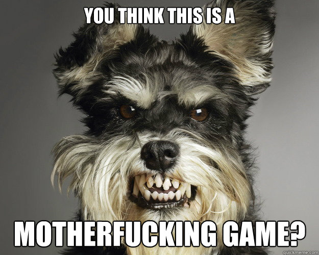you think this is a motherfucking game -