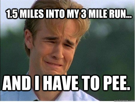 15 miles into my 3 mile run and i have to pee - 1990s Problems