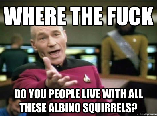 where the fuck do you people live with all these albino squi - Annoyed Picard HD