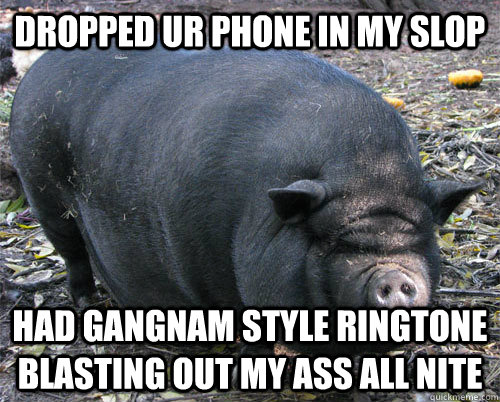 dropped ur phone in my slop had gangnam style ringtone blast - implacable pig