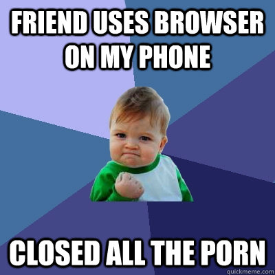 friend uses browser on my phone closed all the porn - Success Kid