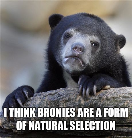 I think Bronies are a form of natural selection - Confession Bear