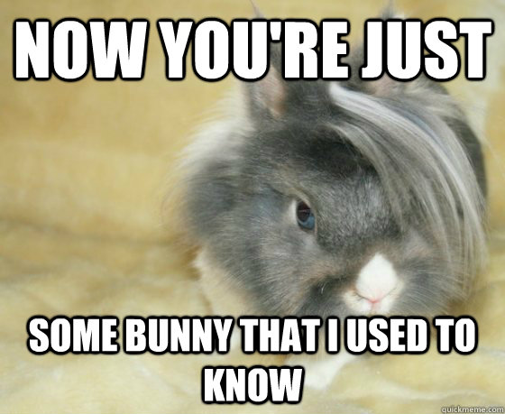 now youre just some bunny that i used to know -