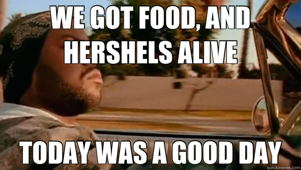 WE GOT FOOD, AND HERSHELS ALIVE TODAY WAS A GOOD DAY - Today was a good day