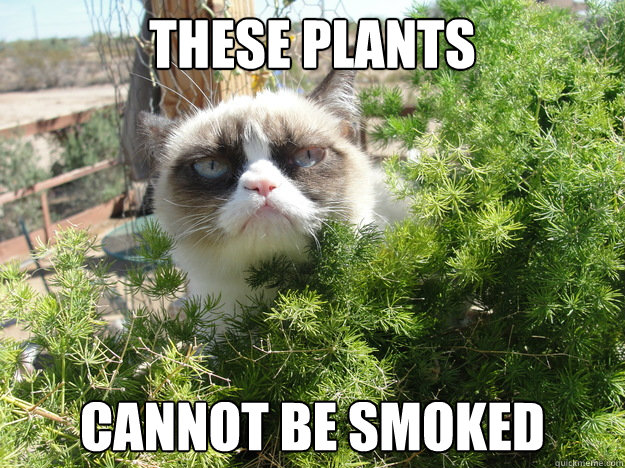 these plants cannot be smoked -