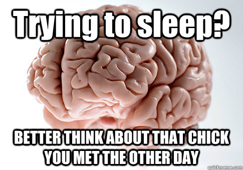 trying to sleep better think about that chick you met the o - Scumbag Brain