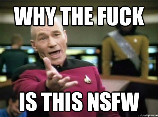 why the fuck is this nsfw - Annoyed Picard HD