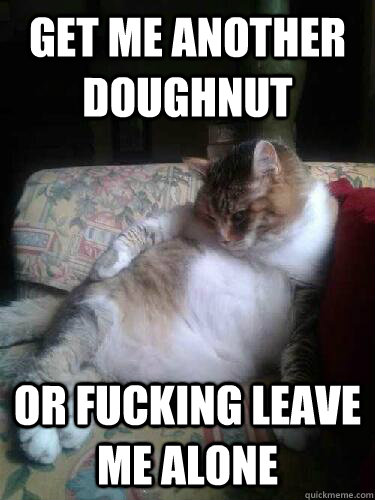 get me another doughnut or fucking leave me alone - Fat Cat