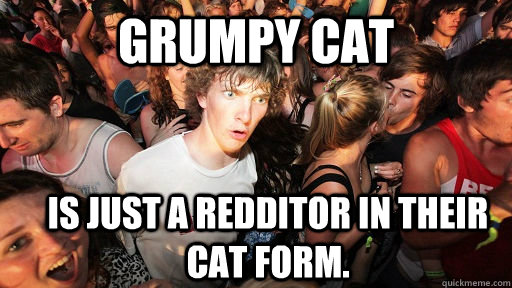 grumpy cat is just a redditor in their cat form - Sudden Clarity Clarence