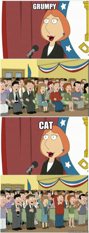 grumpy cat - 911 lois