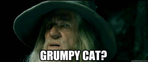 grumpy cat - Gandalf