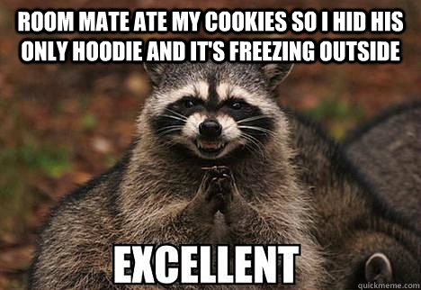 room mate ate my cookies so i hid his only hoodie and its f - evil racoon
