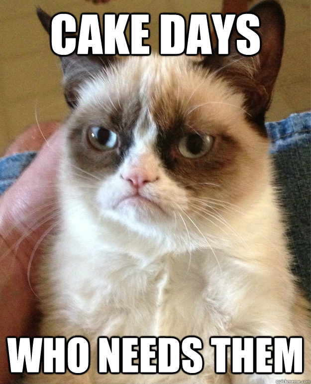 cake days who needs them - grumpy cat