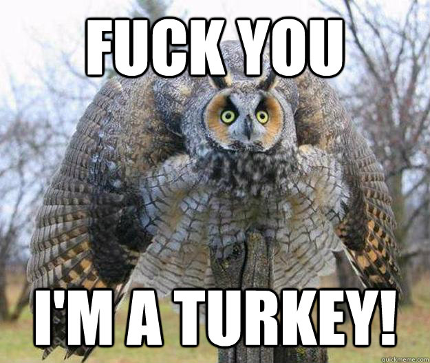 fuck you im a turkey -