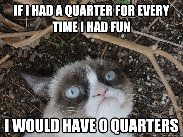 if i had a quarter for every time i had fun i would have 0 q -