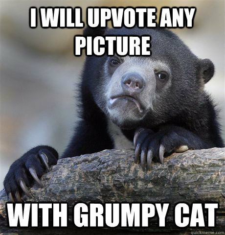 i will upvote any picture with grumpy cat - Confession