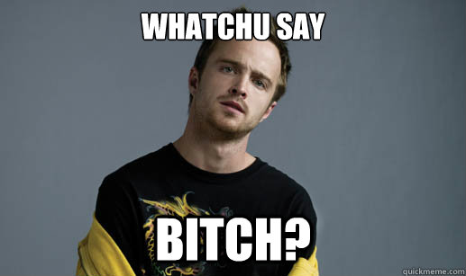 whatchu say bitch - Jesse Pinkman Loves the word Bitch