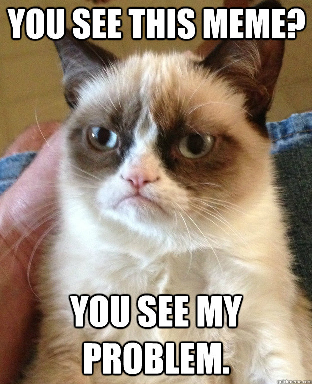 you see this meme you see my problem - Grumpy Cat