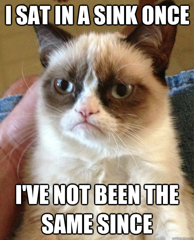 i sat in a sink once ive not been the same since - Grumpy Cat