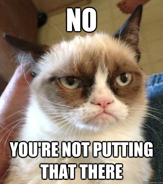 no youre not putting that there - grumpy cat