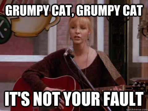 grumpy cat grumpy cat its not your fault -