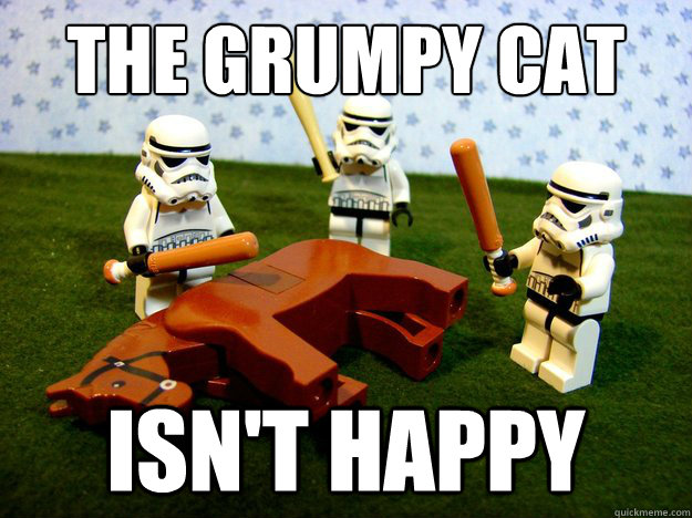 the grumpy cat isnt happy - Dead Horse
