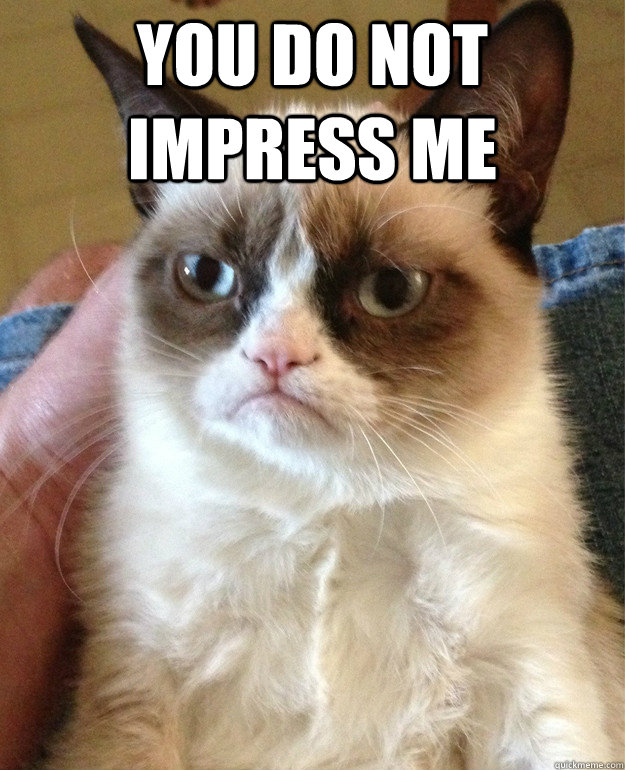 impress me cat